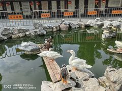 -龙华寺