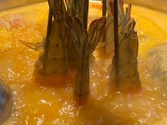 -集渔·泰式海鲜火锅(彭州店)