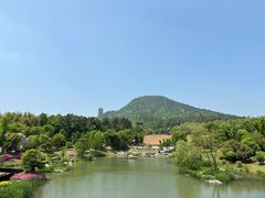 -牛首山文化旅游区