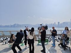 -星光大道
