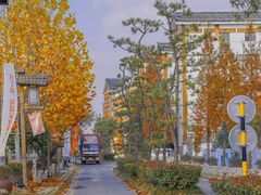 -观唐（国际）度假村温泉