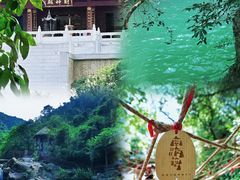 -南海湾森林生态园