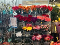 -皇庭广场(福华三路店)