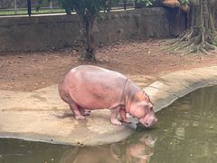 -泉州海丝野生动物世界