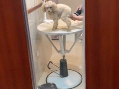 -艾贝尔宠物医院·24H转诊中心·肿瘤猫专科(江宁双龙店)