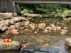 -北仑森林植物园