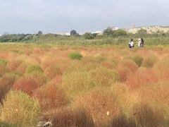-映月湖中央公园