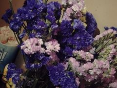 -新华阿喜烧烤(嘉泰雅园店)