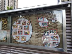 -北京市朝阳区朝花幼儿园(泰福园)