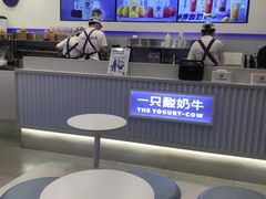 -一只酸奶牛(兰州中心店)