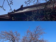 -故宫博物院(故宫)