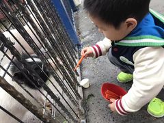 -上海佘山世茂艾美酒店