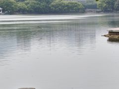 -天井湖游乐园