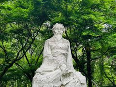 -南京古林公园