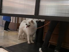 -VESH COFFEE(定西路店)