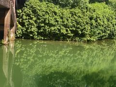 -老运河餐厅