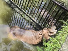 -海南热带野生动植物园