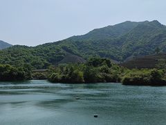 -龙坞茶村
