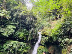 -碧峰峡风景区