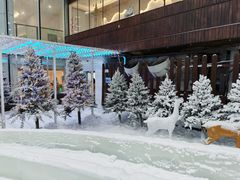 -世界之窗阿尔卑斯冰雪世界