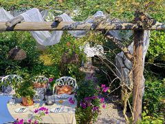 -看见远方·莫干遥远的山民宿