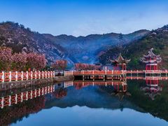 -永州阳明山国家森林公园