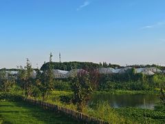 -美家乐农庄·露营·团建(大治路店)