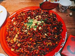 歌乐山辣子鸡-鸡本无敌江湖菜(摩尔城店)