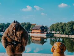 -盛世南宫影视城(北普陀影视城)