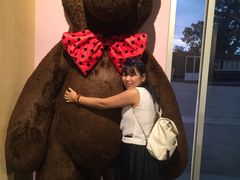 -济州岛泰迪熊博物馆