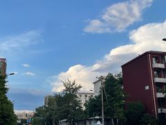 -莲花池公园