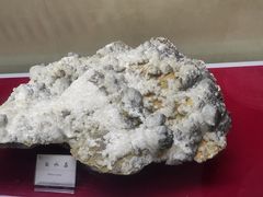 -延庆地质公园博物馆