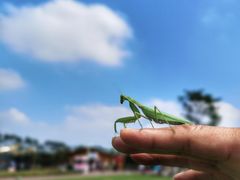 -迪茵湖田家舍生态农场