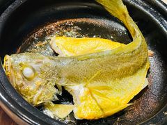 煎焗小黄花鱼-大浪潮·潮汕菜·招牌生腌小青龙(福田店)