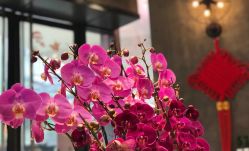 -Kraemer Paris  苏豪路易士·嘉玛发廊