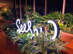 -Seesaw Coffee(朝阳大悦城店)