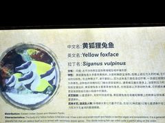 -上海海洋水族馆