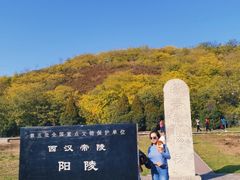 -汉景帝阳陵博物院