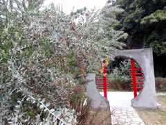 -广州市流溪河国家森林公园