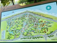 -上海滨江森林公园