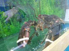 -良师门滨海人家·海鲜·家常菜(滨海城店)