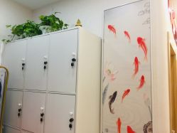 -慈蕊美容养生·专业经络调理