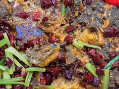 -老板恋上鱼(恒隆广场店)