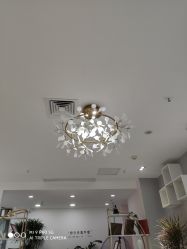 -久匠·野生眉半永久纹眉