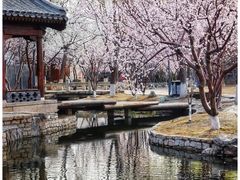 -三里河公园