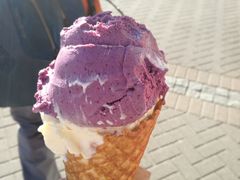 -Patagonia Chocolates(皇后镇店)