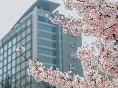 -青岛海尔洲际酒店