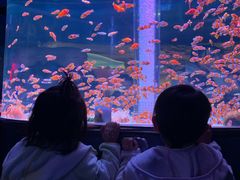 -海合安成都极地海洋公园