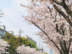 -永乐路-路侧停车场