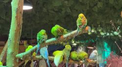 -酷嗒动物文化乐园(cutezoo西溪乐天城店)